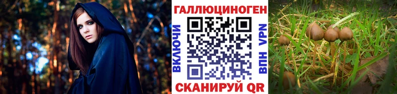 как найти закладки  Юрьевец  Галлюциногенные грибы мухоморы 